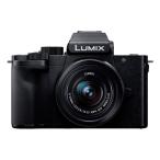 中古 １年保証 美品 Panasonic LUMIX G100D 標準ズームレンズキット [DC-G100DK-K]