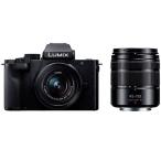 中古 １年保証 美品 Panasonic LUMIX G100D ダブルズームレンズキット [DC-G100DW-K]