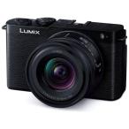 中古 １年保証 美品 Panasonic LUMIX S9 広角ズームレンズキット ジェットブラック [DC-S9N-K]