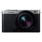 中古 １年保証 美品 Panasonic LUMIX S9 広角ズームレンズキット ダークシルバー [DC-S9N-S]