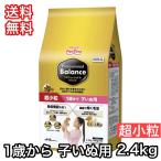森乳サンワールド 【限定クーポン】 スーパーゴールド おなかラボ 成犬