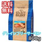 森乳サンワールド 【限定クーポン】 スーパーゴールド おなかラボ 成犬