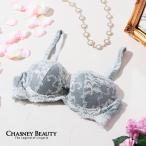 チェスニービューティ CHASNEY BEAUTY ウェイクアップブラ AMBER アンバー レディース ランジェリー ブラジャー バストアップ 美胸 補整下着 シルバー SILVER CB