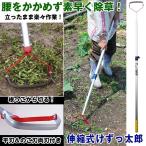 ���������߂��ȒP�����u�L�k�����������Y�A���~�L�k��(�֐n1���t)�v (�ȒP�����J�b�^�[,�_���,���n,�K�[�f�j���O)