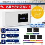 今なら即納OK!充電式二酸化炭素濃度計「CO2 METER」 (まん防対策 ウイルス対策 CO2センサー 新型コロナウイルス)
