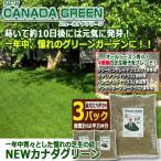  один круглый год синий . считая .... газонная трава сырой. двор!NEW Canada зеленый [3 упаковка / рекомендация итого 60 flat person M минут ] ( полив удобрение всесезонный садоводство работа сезон )