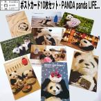 ポストカード10枚セット「PANDA　panda　LIFE...」 (