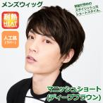メンズウィッグ「マニッシュショート(ディープブラウン)」 (ファッションウィッグ フルウィッグ 男性用 男女兼用 かつら ユニセックス ラパンドアール)