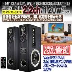 Vabel［ヴァベル］2.2ch重低音アンプ内蔵スピーカーシステム120W (タワー型スピーカー ダブルウーファー イコライザ TV DVD USB SD)