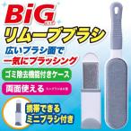 BIGリムーブブラシ2サイズx2本（計4本）セット （ビッグサイズ 携帯用ミニブラシ付き 衣類 ホコリ取り ペットの毛取り ゴミ カーペット ソファー ハンディ)