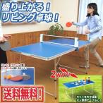 送料無料2WAY卓球台フルセット (テーブルピンポンセット,折りたたみ,家庭用,伸びるネット,ラケット,ピンポン玉,レジャーテーブル,アウトドア,インドア,食卓)
