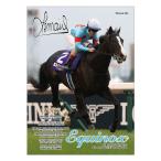 爆買 イクイノックス６冠記念Ver.ジグ