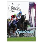 「イクイノックス」ジグソーパズル500ピ