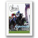 「イクイノックス」ジグソーパズル500ピース（木製フレームセット）(パネルセット 競馬 競走馬 38×53cm 2022年天皇賞秋 G1初制覇 2022年度代表馬 ルメール騎手)