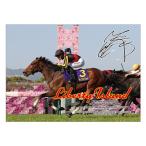 「リバティアイランド」ジグソーパズル500ピース  (競馬 競走馬 38×53cm 桜花賞 優駿牝馬阪神ジュベナイルフィリーズ 最優秀2歳牝馬 中央競馬)