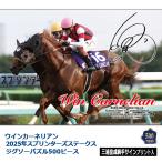 ウインカーネリアン 2025年スプリンタ