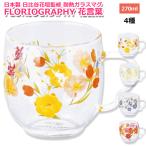 日本製 日比谷花壇監修 耐熱ガラスマグ 花言葉 FLORIOGRAPHY マグカップ 割れない 食器 花模様 ミモザ チューリップ 孔雀草 コスモス