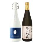 日本酒 飲み比べ プレゼント 父の日 退職祝い ギフト 純米大吟醸 原酒 棚田コシヒカリ幻の酒(今代司)×純米吟醸 越乃幻の酒 720mlセット