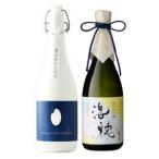 お中元夏ギフト2025日本酒飲み比...