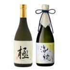 母の日 父の日 日本酒 飲み比べ ギフト プレゼント 退職祝い おしゃれ 高級 男性 女性 内祝い大吟醸 極 × 純米大吟醸 海穂 720ml セット
