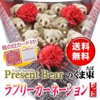 母の日 お母さん ありがとう カーネーション くま束 サプライズ 送料無料 国内製作 ラブリーカーネーション レッド くま11匹　