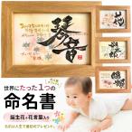 命名書 出産祝い オーダー 代筆 おしゃれ 台紙 命名紙 額縁 手書き 命名用紙 プレゼント 男の子 女の子 世界でひとつ!誕生花のイラスト入り 命名書(2Lサイズ)