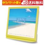 卓上カレンダー 2026年版 海 エコな紙製 六曜表記