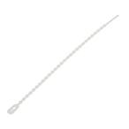 YAZAWA(¥ä¥¶¥ï) ¥Ó¡¼¥ºÂ«¤Í¤ë¥Ð¥ó¥É 120mm Çò 30ËÜÆþ FTB120W30