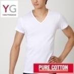 GUNZE(グンゼ) YG Cotton100% Vネック半袖Tシャツ