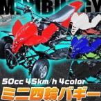 ミニ四輪バギー 50cc ポケバイ 本体 エンジン 四輪 バギー ポケットバイク ミニ バイク 原付 車体 公道 乗用 乗れる 乗用玩具 コンパクト 自立 青 ブルー