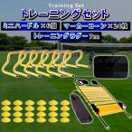 ラダー ミニハードル 6個 マーカーコーン 24個 セット 瞬発力 トレーニング 機敏性 バランス 強化 サッカー 陸上 野球 反射神経ハードルセット