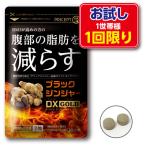 1世帯様5点まで1回限り BMIが高めの方の腹部の脂肪を減らす ブラックジンジャーDX GOLD 機能性表示食品 60粒 単品 送料無料 お試し特価 賞味期限_2026年1月18日