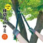 【OUTLET】 訳あり 枝切りバサミ2本セット 長さ調整可能 楽々 軽作業