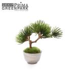 [ официальный ] сосна дуть . сток .. только .книга@ рука CUPBON бонсай искусственная зелень | PRIMA поддельный бонсай декоративное растение маленький настоящий 