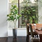 【公式】フィカスソフィア ラウンドポット H170cm 観葉植物 フェイクグリーン 【別倉庫直送品】 eco  | GREENPARK 人工観葉植物 造花 おしゃれ リアル