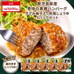プリマハム 鹿児島県産 恵味の黒豚ハンバーグ きざみ 柚子 入り 和風 しょうゆ 5パック【爆買】