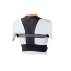 »ÑÀª¥µ¥Ý¡¼¥È¥Ù¥ë¥È ´Ý¸÷»º¶È