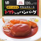 介護食 エバースマイル ムース食 トマトソースハンバーグ 115g×36個 大和製罐