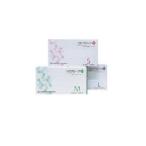  одноразовый перчатки PVC перчатка PLUS тонкий мука имеется S~L 200 листов входит ×20 коробка мех strait 