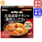 ハウス スープカリーの匠 北海道産チキンの濃厚スープカレー 中辛 360g マツコの知らない世界 送料無料（一部地域は除く）