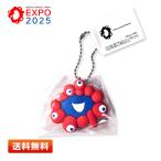 EXPO2025 Raver цельный мяч цепь myakmyak лицо [ эмблема / брелок для ключа / фигурка ]
