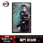 描き下ろしイラスト フォトカードB 竈門炭治郎『劇場版「鬼滅の刃」 無限城編』 第一章 映画 公式グッズ ランダムフォトカードB たんじろう