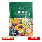 万田酵素 STANDARD(スタンダード) ペースト(分包)タイプ 2.5g×31包 (1個) サプリメント 栄養補助食品 [賞味期限2028年2月以降]