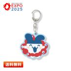  Tamagotchi EXPO2025 Raver брелок для ключа [....]myakmyak цепочка для ключей Osaka * Kansai десять тысяч . Raver ремешок Tamagotch ушко (уголок) ..