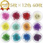  dry flower race flower pressed flower 60 sheets resin art . nails .12 color × each 5 sheets case go in 