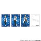 【 03/09 発送予定】 TVアニメ「Dr.STONE」さっぽろ雪まつり 描き下ろしポストカードセット  グッズ