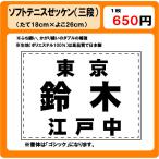 ソフトテニス　ゼッケン　W26cm×H18cm　ぜっけん