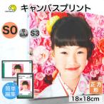  парусина принт S0 размер квадратный оригинал фото фотография panel заказ печать искусство фото панель искусственная приманка to panel парусина фотография печать подарок подарок 