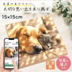  домашнее животное love собака love кошка фотография panel принт из дерева фото panel 15cm×15cm фотография принт деревянная панель из дерева panel натуральный интерьер подарок подарок 