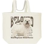 キャンバス・帆布